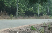 Khởi tố vụ án liên quan sai phạm quản lý sử dụng khu đất công gần 530 ha ở Bình Dương