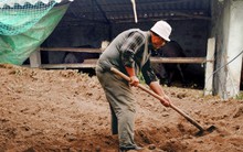 Chàng trai vô tình tìm thấy "bãi phế liệu" bị bỏ hoang ở chuồng bò, hoá ra là kho báu trị giá hàng chục tỷ đồng