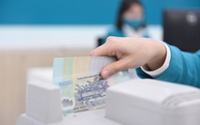 Thủ tướng giao NHNN phối hợp Bộ Công an tạo điều kiện cho người dân tiếp cận vốn, ngăn chặn tín dụng đen