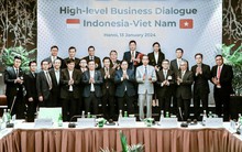 Hãng taxi của tỷ phú Phạm Nhật Vượng sẽ đầu tư 900 triệu USD vào Indonesia