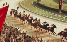 Tương lai trường đua ngựa 10.000 tỷ ở Hà Nội sẽ thu hút 25.000 lao động, kiếm 200 triệu USD mỗi năm?