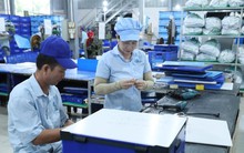 Nền kinh tế sẽ hồi phục trong năm 2024