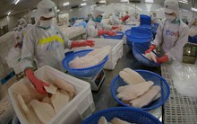 ‘Cải cách mạnh thể chế, tạo môi trường, cơ hội chứ không phải tháo gỡ’