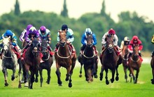 Đại gia Hàn Quốc đằng sau trường đua ngựa gần 500 triệu USD ở Sóc Sơn: Chủ khách sạn dát vàng đầu tiên ở Hà Nội, đầu tư dự án sân golf dính nhiều sai phạm