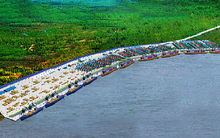 Cảng Phước An (PAP): 7 năm liền ‘trắng’ doanh thu vẫn lên kế hoạch tăng vốn