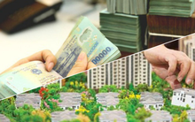 Đề nghị sớm đánh thuế người nhiều nhà ở, đầu cơ đất