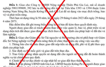 Giả quyết định tỉnh Gia Lai giao đất trồng rừng cho doanh nghiệp để... 'làm màu' với bạn bè