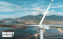 Wechoice Awards 2023: BIM Group vượt qua thách thức của thị trường bất động sản, đồng hành cùng sự phát triển bền vững của đất nước