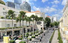 Hơn 500 đoạn, tuyến đường ở TP HCM bị hạn chế thi công trong năm 2024