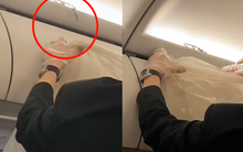 Vật thể lạ hi hữu xuất hiện trên máy bay, hành khách kể lại: "Tôi chưa từng nghĩ chuyện này sẽ xảy ra ngoài đời"