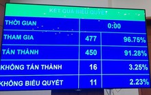 Quốc hội thông qua dự án Luật Các tổ chức tín dụng (sửa đổi)