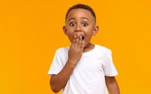 Cập nhật số liệu CTCK chiều ngày 19/1: Loạt "tên tuổi" HSC, Vietcap, FPTS,... ồ ạt công bố KQKD trong ngày cuối tuần, một công ty tăng lãi 1.800%