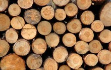 Chốt năm 2023, mặt hàng này đem về cho Việt Nam 16 tỷ USD: Ấn Độ không ngừng đổ tiền mua, Mỹ, Trung Quốc tích cực săn đón