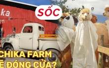 Chika Farm Đà Lạt bất ngờ thông báo đóng cửa dù đông khách, khiến dân tình vô cùng hoang mang