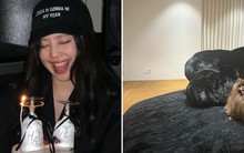 Jennie lại gây choáng vì độ giàu: Sắm sofa gần 1 tỷ, thiết kế nom đơn giản nhưng độ sang xịn, êm ái đỉnh chóp