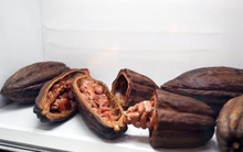 Từ cổ phiếu đến hàng hoá, đây là 5 tài sản đạt mức tăng khủng trong một năm biến động