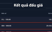 Biển số 88A-666.66 trúng đấu giá gần 30 tỷ đồng