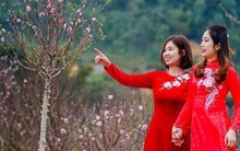 Năm 2024, người lao động được nghỉ bao nhiêu ngày lễ, Tết?