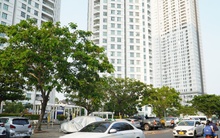 TP HCM: Cấp hơn 22.000 sổ hồng trong năm 2023