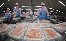 Hướng đi riêng cho tôm Việt