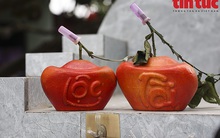 Bưởi đỏ 'tiến vua' đúc chữ tài - lộc không còn hàng để bán