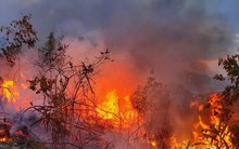 Hiện tượng lạ: Mặt đất tự bốc cháy liên tục ở Đắk Lắk