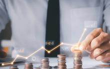 Dồn dập công bố báo cáo quý IV, nhiều doanh nghiệp báo lãi năm 2023 cao kỷ lục