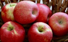 Rằm tháng Chạp mua loại quả này thắp hương vừa đem lại may mắn, an lành vừa giúp gia chủ khỏe đủ đường