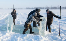 Virus "thây ma" Bắc Cực có thể gây ra đại dịch nguy hiểm mới