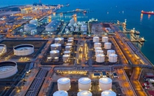 Thương vụ Việt Nam tại Hà Lan tiếp tục cảnh báo hành vi lừa đảo qua mạng