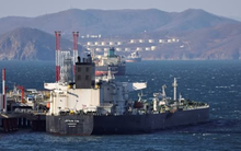 Đây là ‘vị cứu tinh’ quan trọng nhất của dầu Nga năm 2023: Nhập khẩu khối lượng khổng lồ bất chấp lệnh trừng phạt, nhu cầu tăng ‘phi mã’