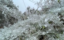 Lung linh băng tuyết tại đỉnh cao Phia Oắc- Cao Bằng