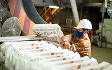 Vicem Hà Tiên (HT1) chỉ lãi vỏn vẹn 17,1 tỷ đồng trong năm 2023 dù doanh thu hơn 7.000 tỷ đồng