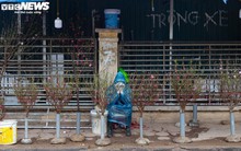 Hà Nội mưa rét đỉnh điểm, người bán 'ôm' cây cảnh Tết, sốt ruột chờ khách mua