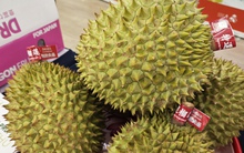 Trung Quốc dùng sầu riêng làm quà Tết, giá tăng cao