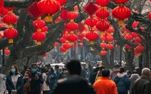 Tôi 64 tuổi, năm nay quyết định không về quê ăn Tết vì 3 LÝ DO: Vui đâu chẳng thấy, chỉ chuốc bực vào người!