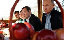 Vì sao Apple chịu nộp cho Nga gần 26 triệu USD, trong khi Google và Meta vẫn im lặng về hơn nửa tỷ?