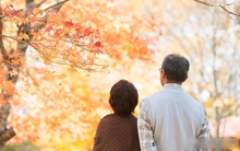 68 tuổi, tôi bán nhà 120m2 ở quê, ra thành phố mua nhà sát con trai: Tưởng hạnh phúc ai dè “quay xe” không kịp