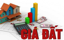 HoREA: Cần nhanh chóng điều chỉnh lại quy định về giá đất để sát hơn với thực tiễn