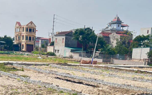 Chủ đầu tư được trả tiền thuê hàng năm sẽ giúp hạ giá nhà, đất?