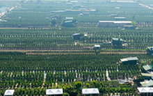 Cận Tết Nguyên đán, Hà Nội vẫn tất bật đấu giá đất