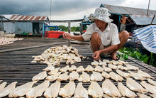 Việt Nam sở hữu kho báu dưới nước được 2/3 thế giới 'thèm khát': Người Trung Quốc thừa nhận 'ăn đứt' hàng nội, thu về hàng tỷ USD năm qua