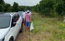 Cận Tết, đất nền phía Nam diễn biến lạ