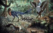 Mua hàng online, nhận được quái thú chưa từng thấy trên thế giới