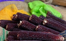 1 loại hạt giá rẻ bèo có thể hạ đường huyết, chống ung thư hiệu quả: Rất sẵn ở chợ Việt