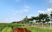 Bổ sung nhiều thành phần vào Hội đồng định giá đất