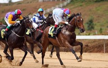 DN đằng sau trường đua ngựa, đua chó nghìn tỷ tại Lâm Đồng vừa được phép chuyển mục đích sử dụng 6.570 m2 đất để xây dự án