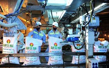 Công ty phân bón lớn nhất sàn chứng khoán báo lãi vọt lên gần 500 tỷ trong quý 4, tiếp tục tích 'tiền tươi' hơn 10.500 tỷ