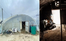 Góc khuất của người lao động nước ngoài tại Hàn Quốc: Sống tạm bợ trong nhà kính trồng cây, co ro chịu đựng thời tiết âm độ giá lạnh