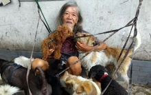 Thừa kế 170 tỷ đồng từ cha mẹ nhưng 5 năm sau người đàn ông lại hóa vô gia cư, ra đường sống với thú cưng: Nguyên nhân không ai ngờ tới